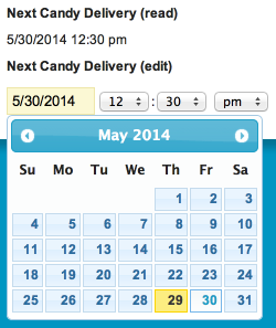 Similar to the date field renderer, date time will display a date and a time when using the read function. Using the edit function will allow the user to change the time value using a picklist and the date value by either typing the date within the field or using a small calendar below the field.