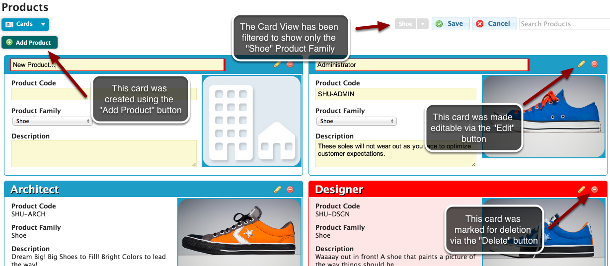 Using this custom view, all records will display as cards. In the example described here, the Add Product button will create a new product record—displayed as a card. Records within cards can be edited using the edit icon within them, and they can be marked for deletion by clicking the delete icon within them. The card view, since it is simply displaying records in a different way, will also be affected by filters. In this example, we can filter the data to only display records within the "Shoe" product family, and the card view will adjust accordingly.